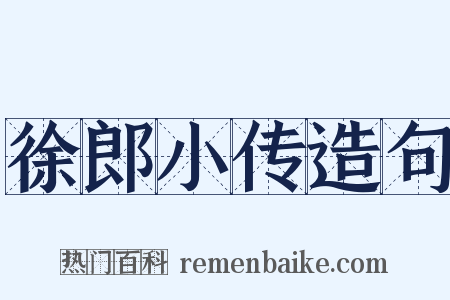 徐郎小传造句是什么意思的图片
